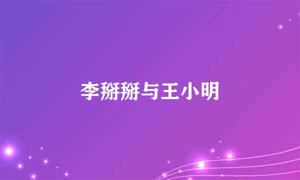 李掰掰与王小明