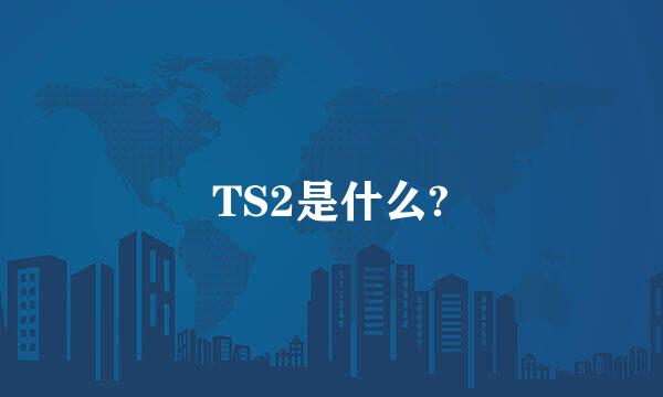 TS2是什么?