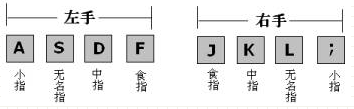 新手如何快速学会打字呢？