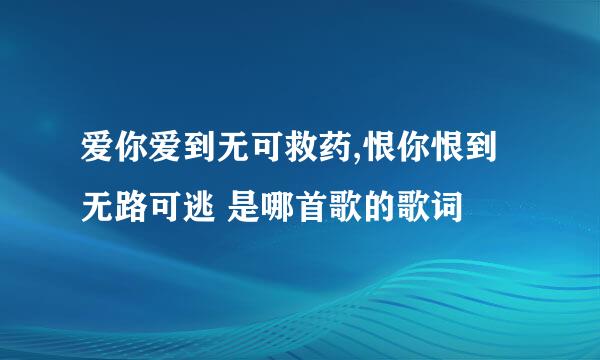 爱你爱到无可救药,恨你恨到无路可逃 是哪首歌的歌词