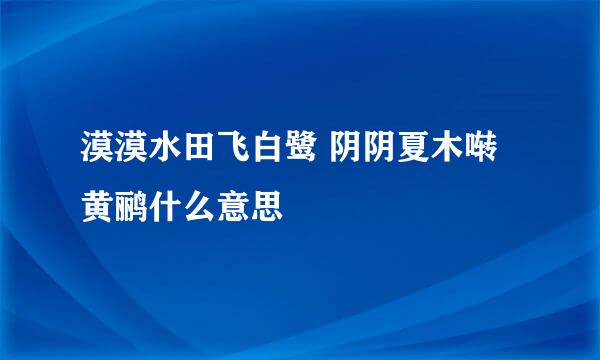 漠漠水田飞白鹭 阴阴夏木啭黄鹂什么意思