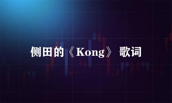 侧田的《Kong》 歌词