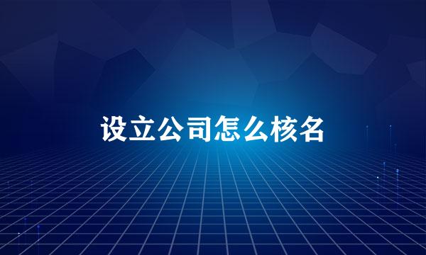 设立公司怎么核名