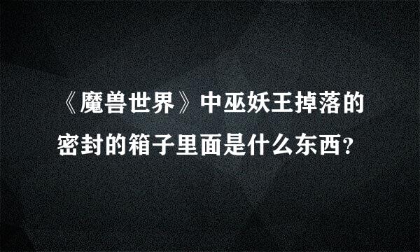 《魔兽世界》中巫妖王掉落的密封的箱子里面是什么东西？