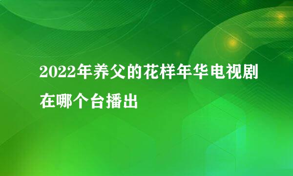 2022年养父的花样年华电视剧在哪个台播出