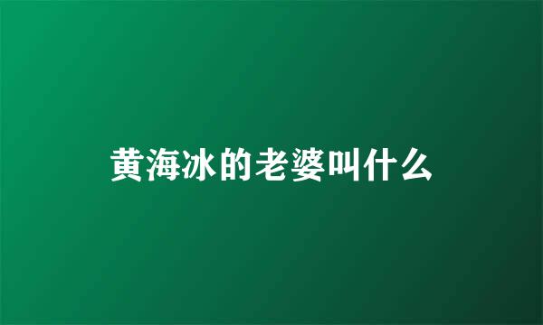 黄海冰的老婆叫什么