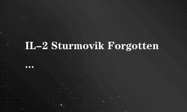 IL-2 Sturmovik Forgotten Battles是不是就是IL21946？？