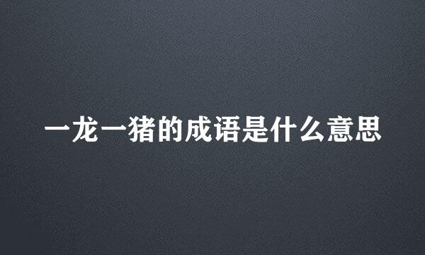 一龙一猪的成语是什么意思