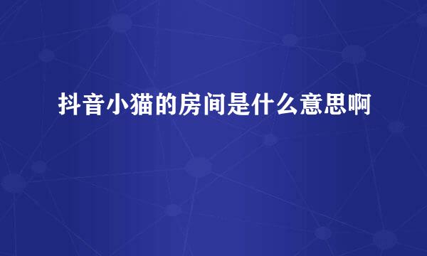 抖音小猫的房间是什么意思啊