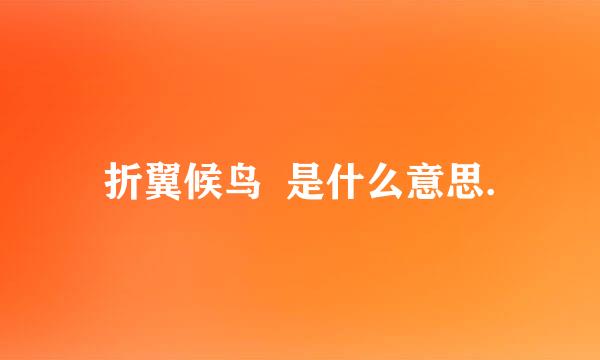 折翼候鸟  是什么意思.