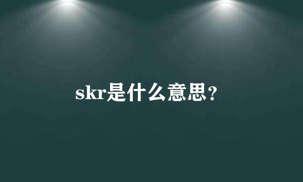 skr是什么意思？