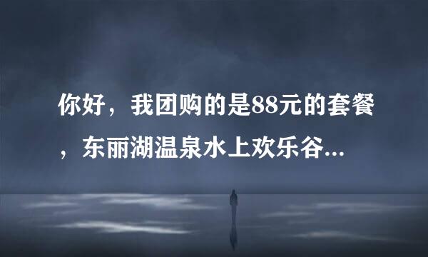 你好，我团购的是88元的套餐，东丽湖温泉水上欢乐谷自助餐价格是多少？除了自助餐里面还有别的吃的吗？