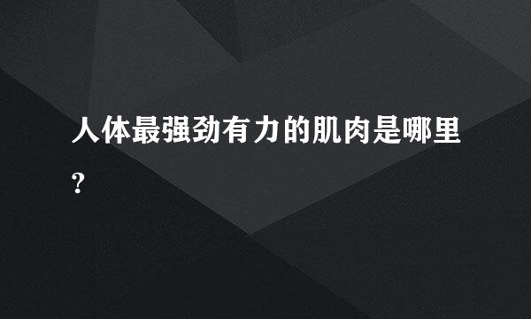 人体最强劲有力的肌肉是哪里?