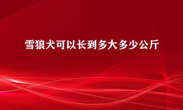 雪狼犬可以长到多大多少公斤