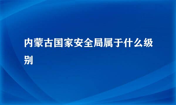 内蒙古国家安全局属于什么级别