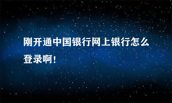 刚开通中国银行网上银行怎么登录啊！