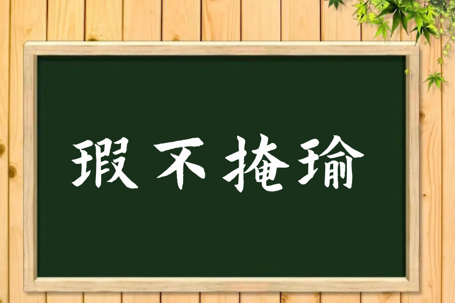 瑕不掩瑜是什么意思解释