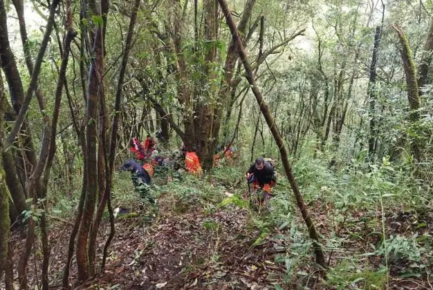 哀牢山4名遇难地质人员身份披露，均当过兵，他们为何会在这座山里遇难？