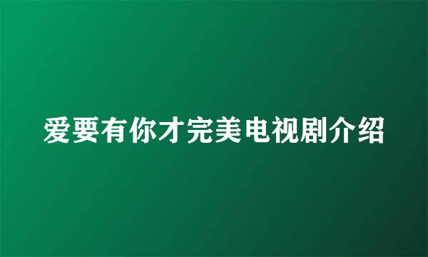 爱要有你才完美电视剧介绍