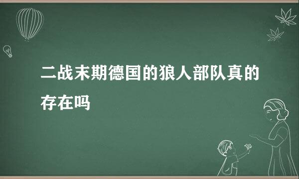 二战末期德国的狼人部队真的存在吗