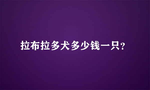 拉布拉多犬多少钱一只？