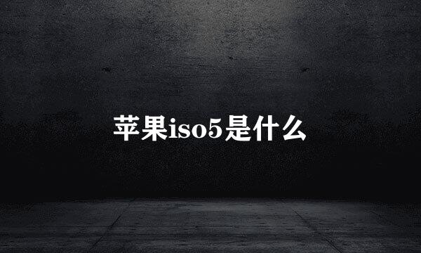 苹果iso5是什么