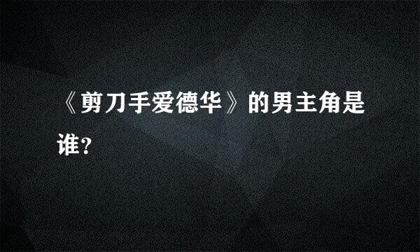 《剪刀手爱德华》的男主角是谁？