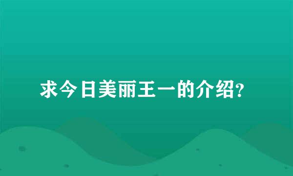 求今日美丽王一的介绍？