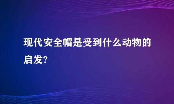 现代安全帽是受到什么动物的启发?