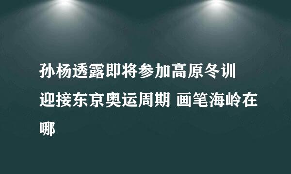 孙杨透露即将参加高原冬训 迎接东京奥运周期 画笔海岭在哪