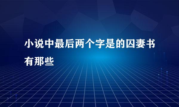 小说中最后两个字是的囚妻书有那些