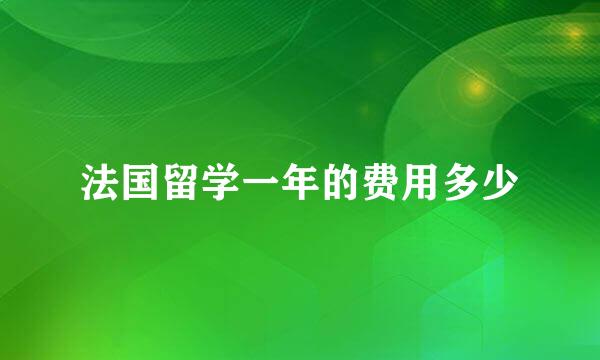 法国留学一年的费用多少