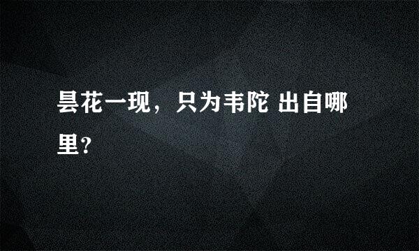 昙花一现，只为韦陀 出自哪里？