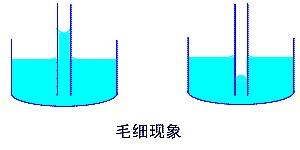 水具有毛细现象，什么是毛细现象呢？