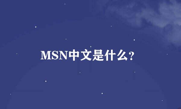 MSN中文是什么？