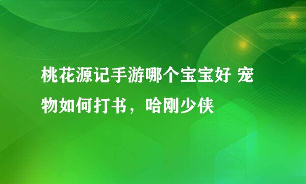 桃花源记手游哪个宝宝好 宠物如何打书，哈刚少侠