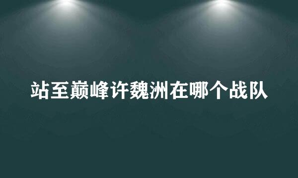 站至巅峰许魏洲在哪个战队