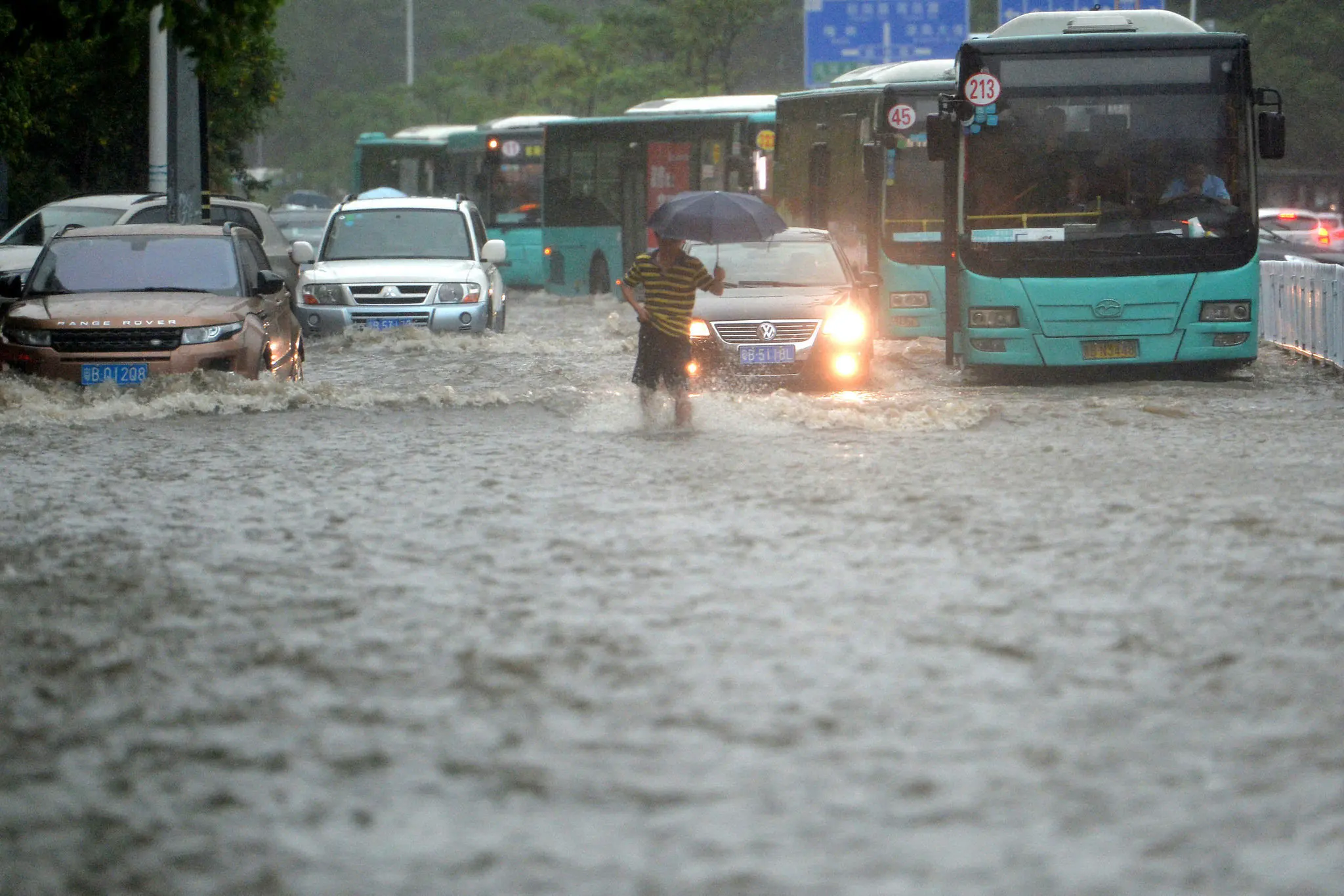 实拍四川暴雨：大鱼游上街头乱窜，暴雨天气要注意哪些安全事项？