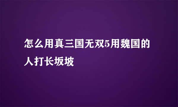 怎么用真三国无双5用魏国的人打长坂坡