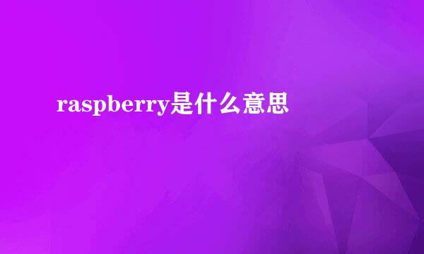 raspberry是什么意思