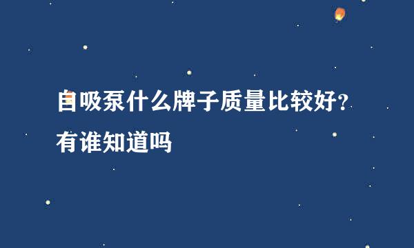 自吸泵什么牌子质量比较好？有谁知道吗