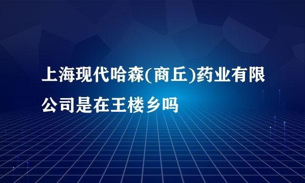 上海现代哈森(商丘)药业有限公司是在王楼乡吗