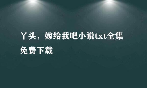 丫头，嫁给我吧小说txt全集免费下载