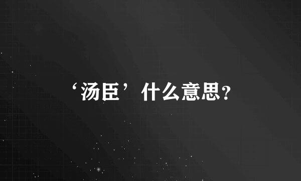 ‘汤臣’什么意思？