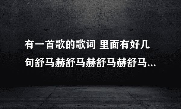 有一首歌的歌词 里面有好几句舒马赫舒马赫舒马赫舒马赫，很带劲，很有节奏的，求大仙能给我识别出来。