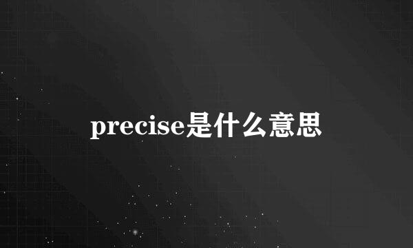 precise是什么意思