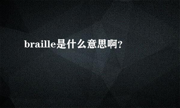 braille是什么意思啊？