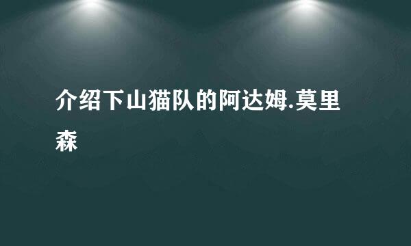 介绍下山猫队的阿达姆.莫里森