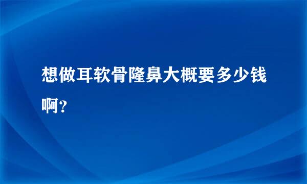 想做耳软骨隆鼻大概要多少钱啊？