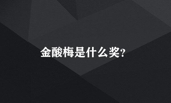 金酸梅是什么奖？